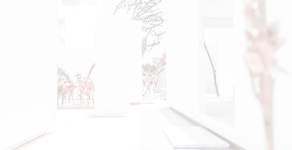 Flowers in minimalist gallery with white walls, modern art display, soft natural lighting, METAGEN exhibit.